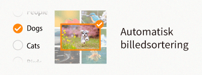 autoimagesorting