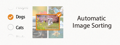 autoimagesorting