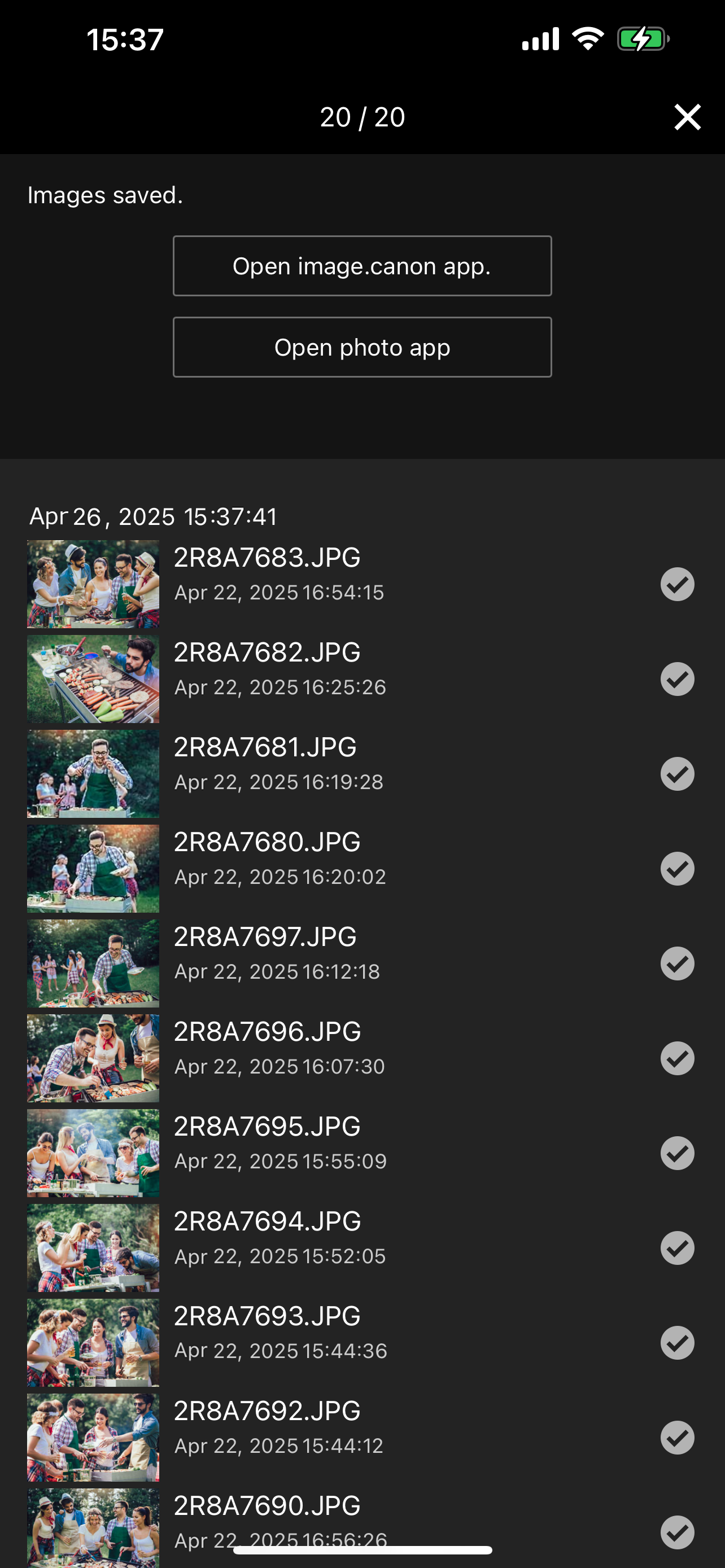 screen image