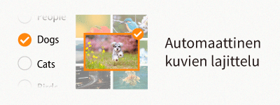 autoimagesorting