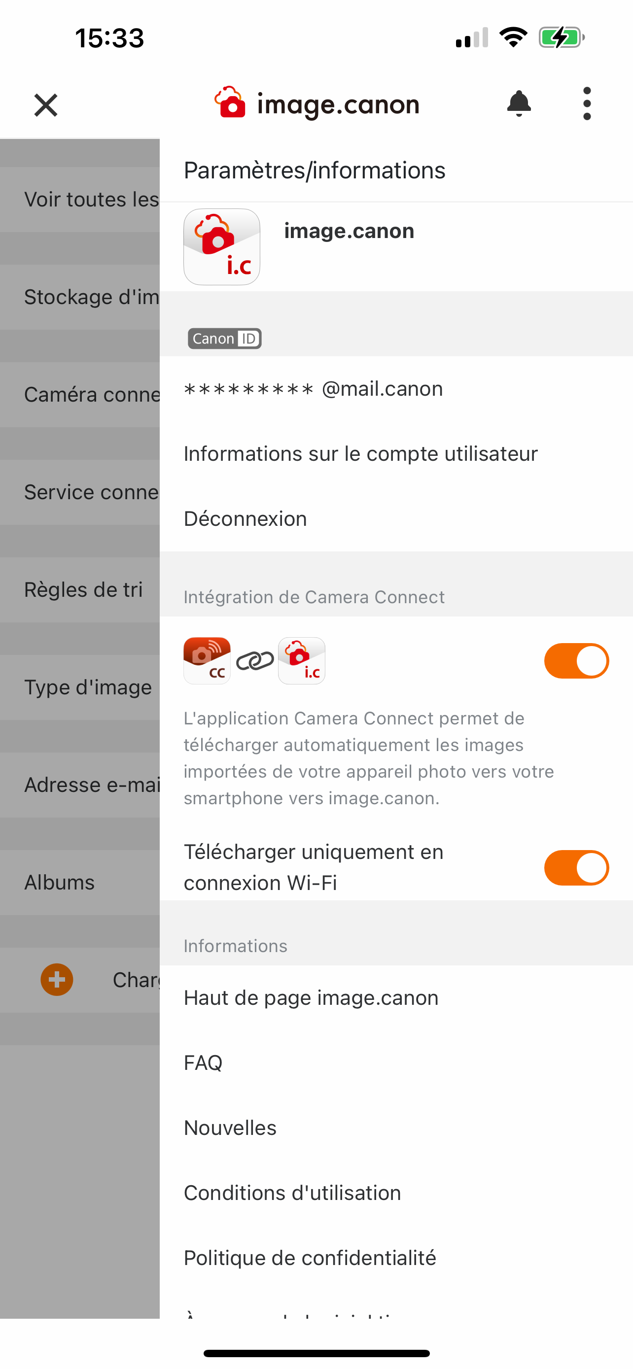 screen image