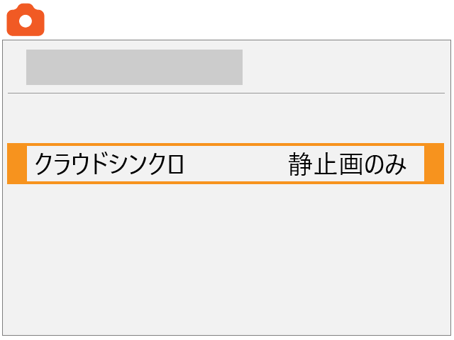 screen image