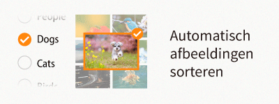 autoimagesorting