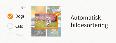 autoimagesorting