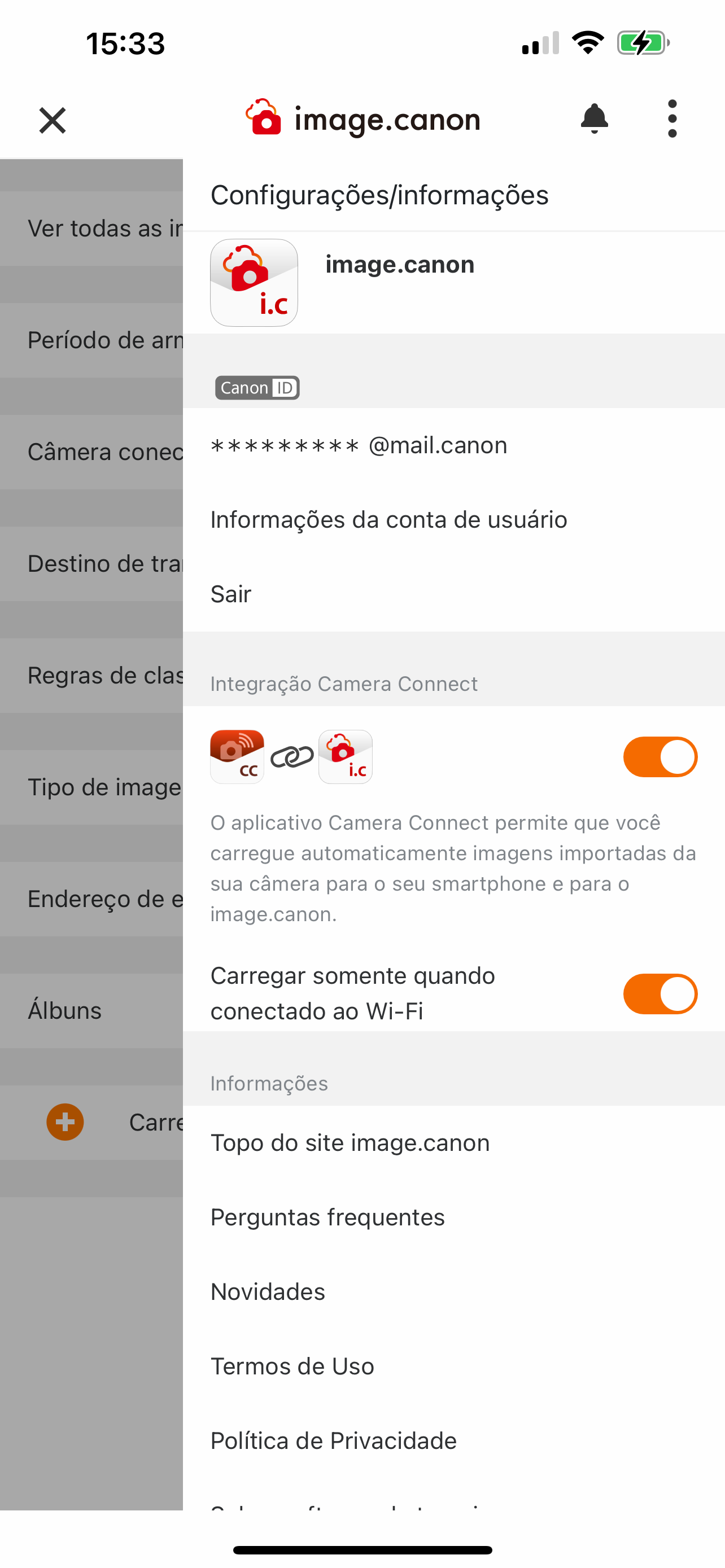screen image