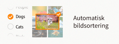 autoimagesorting