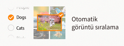 autoimagesorting