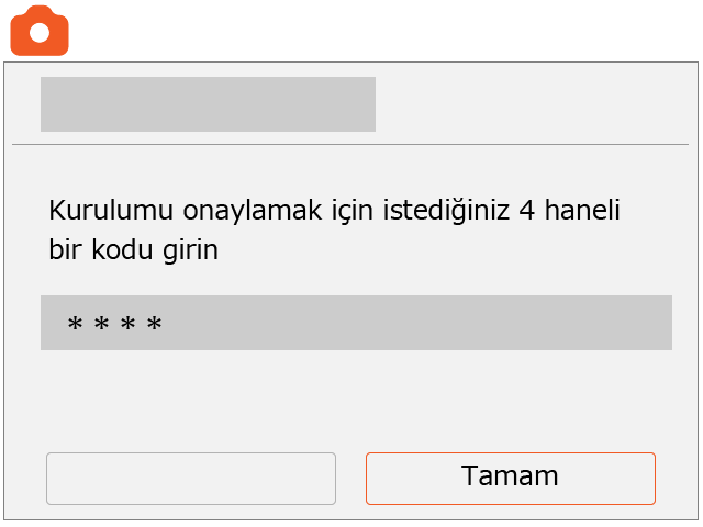 screen image