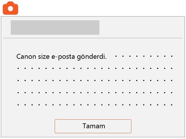 screen image