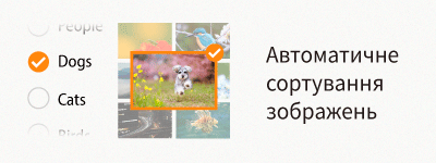 autoimagesorting