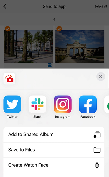screen image