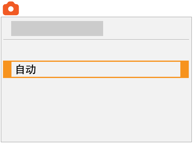 screen image